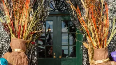 Mira a la Casa Blanca disfrazada de bosque encantado este Halloween (Fotos) Mira a la Casa Blanca disfrazada de bosque encantado este Halloween (Fotos)