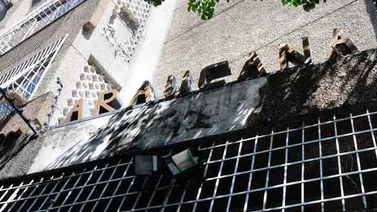 Ultimado fotógrafo español en asalto a su residencia