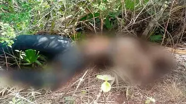 Degollaron a mototaxista para robarlo en Táchira Degollaron a mototaxista para robarlo en Táchira