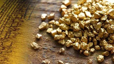 Guyana inicia extracción de oro en el Esequibo