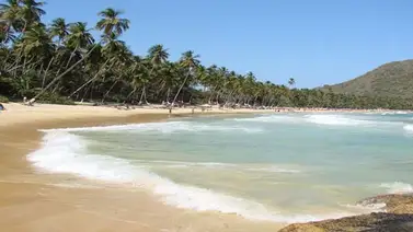 Comisión se reunió para evaluar estado del balneario de Playa Grande Comisión se reunió para evaluar estado del balneario de Playa Grande