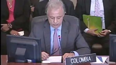Embajador de Colombia ante OEA: Deportaciones no se ajustan al derecho internacional Embajador de Colombia ante OEA: Deportaciones no se ajustan al derecho internacional