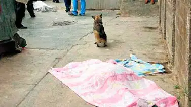 Le prometió la muerte y lo remató a tiros en La Vega Le prometió la muerte y lo remató a tiros en La Vega