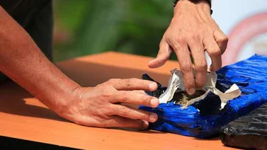 Arrestan a tres sujetos con 304 panelas de marihuana en el Táchira