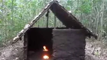 ¿Cómo sobrevivir en la selva sin nada encima?
