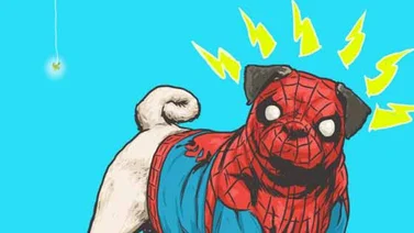 ¿Quieres ver a tus héroes favoritos de Marvel convertidos en perros?