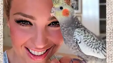 Thalía presentó a su nueva mascota Thalía presentó a su nueva mascota