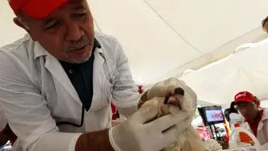 Misión Nevado inauguró Centro Veterinario en Chacaito Misión Nevado inauguró Centro Veterinario en Chacaito