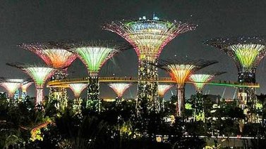 En Singapur diseñan arboles artificiales capaces de generar electricidad