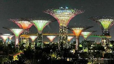 En Singapur diseñan arboles artificiales capaces de generar electricidad