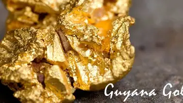 Casi la mitad de las exportaciones de Guyana salen del Esequibo Casi la mitad de las exportaciones de Guyana salen del Esequibo