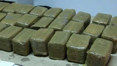 Encarcelan a hombre por tráfico de 39 kilos de marihuana en Barinas