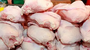 Venden 1200 kilos de pollos acaparados Venden 1200 kilos de pollos acaparados