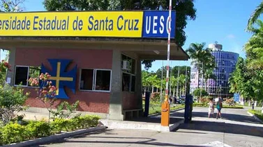 OEA ofrece 700 becas para cursar especializaciones en Brasil
