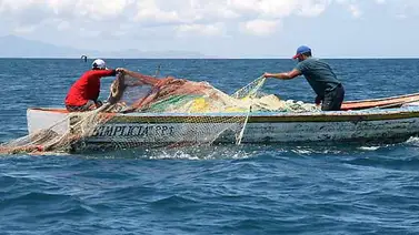 El viceministerio de Pesca y Agricultura tiene nueva encargada El viceministerio de Pesca y Agricultura tiene nueva encargada