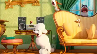 Primer tráiler de "La Vida Secreta de tus Mascotas" Primer tráiler de "La Vida Secreta de tus Mascotas"
