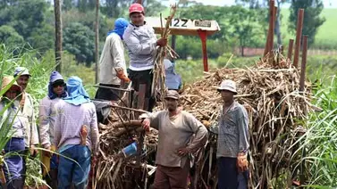 Pdvsa culminó su zafra de azúcar Pdvsa culminó su zafra de azúcar