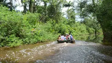 Celebran 24 aniversario del Parque Nacional Turuépano en Sucre Celebran 24 aniversario del Parque Nacional Turuépano en Sucre