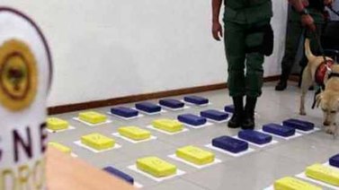 Incautan más de 400 kilos de droga