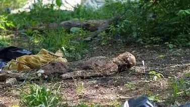 La granja de los cuerpos La granja de los cuerpos