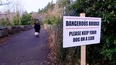 El misterio del puente de los perros suicidas El misterio del puente de los perros suicidas