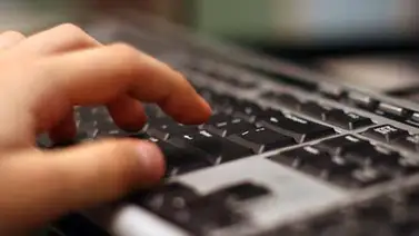 Automatizan y simplifican trámites para solvencia laboral Automatizan y simplifican trámites para solvencia laboral