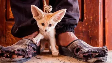 Increíbles fotografías realizadas por los amantes de la naturaleza Increíbles fotografías realizadas por los amantes de la naturaleza