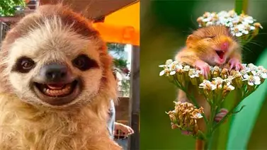 Los lunes no serán tan malos si miras estas fotos Los lunes no serán tan malos si miras estas fotos