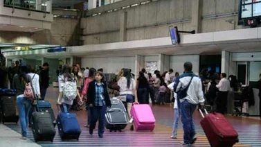 144 personas detenidas por delitos aeroportuarios en Maiquetía