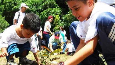 Brigadas escolares recolectan 30 toneladas de semillas para reforestación