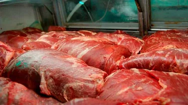 Confagan anunciará nuevas estrategias para distribución de carne