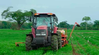 Nombran a nuevo presidente de Pdvsa Agrícola