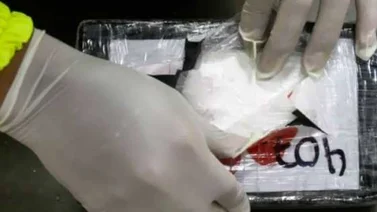 Pillan en Rumanía a cuatro venezolanos que transportaban cocaína a España