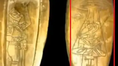 Hallan pruebas de vida extraterrestre en México Hallan pruebas de vida extraterrestre en México