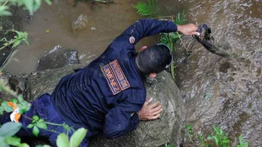Hallan sin vida otro desaparecido en cascada en Lara