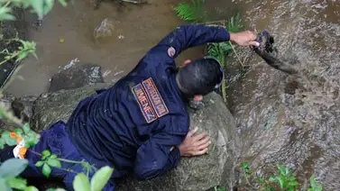 Hallan sin vida otro desaparecido en cascada en Lara Hallan sin vida otro desaparecido en cascada en Lara