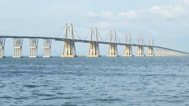Analizan planta acuática que se reproduce en Lago de Maracibo