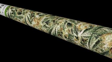 Empresa holandesa lanza nuevo "porro eléctrico"