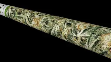 Empresa holandesa lanza nuevo "porro eléctrico" Empresa holandesa lanza nuevo "porro eléctrico"