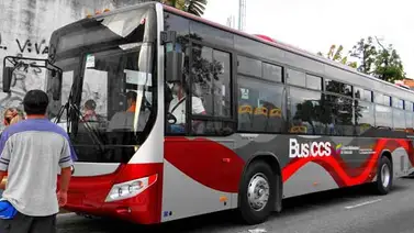 258 autobuses Yutong se incorporarán a rutas de transporte público en Venezuela 258 autobuses Yutong se incorporarán a rutas de transporte público en Venezuela