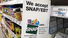 Cupones SNAP | Sepa cuándo será el próximo pago en Nuevo México (+Fecha)
