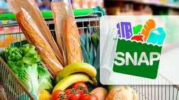 EEUU | Así puede un inmigrante conseguir cupones SNAP (+Requisitos)