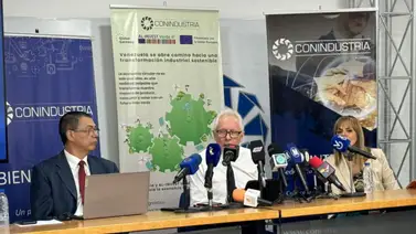 Producción Industrial creció 23,1% en el segundo trimestre de 2024 Producción Industrial creció 23,1% en el segundo trimestre de 2024