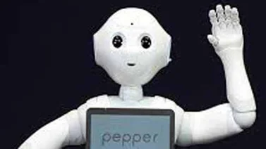 Conoce a Pepper, el robot amigable