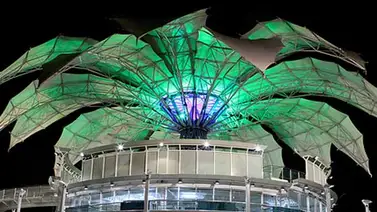 Flor de Venezuela se viste de lila en Navidad Flor de Venezuela se viste de lila en Navidad