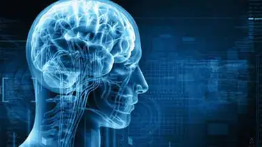 Los 10 secretos de la mente masculina Los 10 secretos de la mente masculina