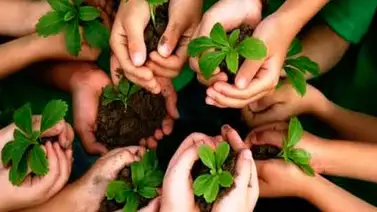 Ministro Molina planteará crear el Consejo Presidencial de Ambiente Ministro Molina planteará crear el Consejo Presidencial de Ambiente