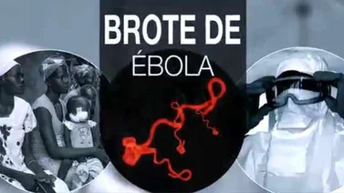 Guía animada: Cómo se prepara y funciona el suero para combatir el ébola
