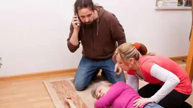 Las llamadas más insólitas al teléfono de emergencias 911 Las llamadas más insólitas al teléfono de emergencias 911