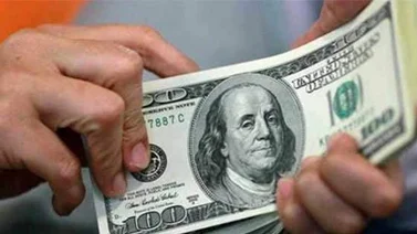 Adjudicadas 313 empresas en la útlima subasta del Sicad I